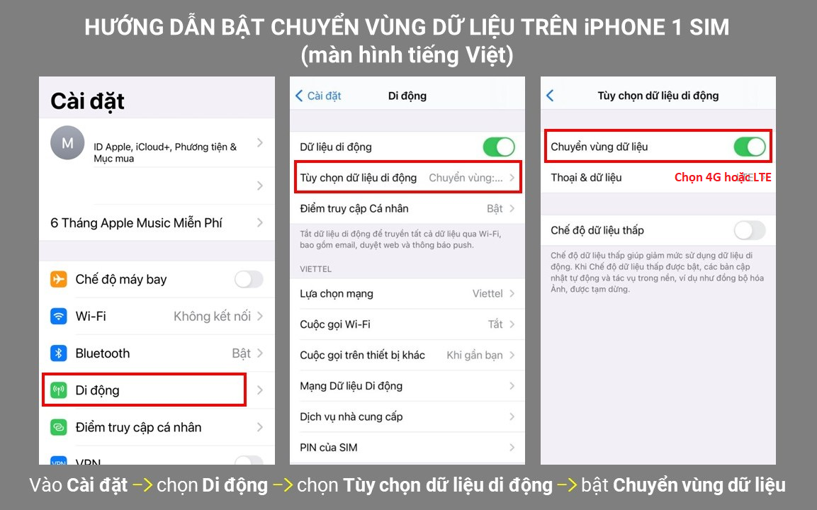 Bật Chuyển vùng dữ liệu trong Cellular Data Options trên iPhone